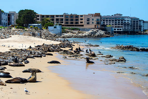 istock Nature in California 2218505169