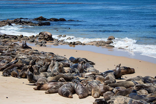 istock Nature in California 2218505187