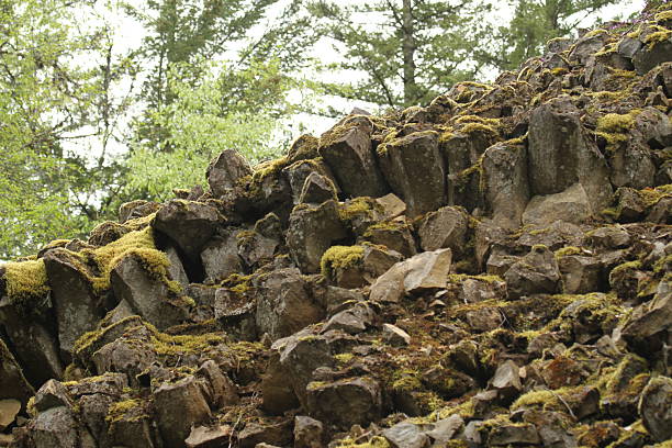 Basalt columns near famous Devil's Bridge (Rakotzbrucke) in Azalea and Rhododendron Park Kromlau, Germany. Composition under reconstruction until October 2020. Autumn scenery