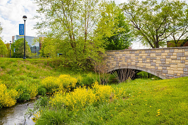 istock University of Wisconsin Eau Claire Campus on Summer Day 2218506762