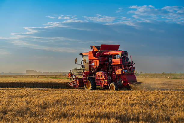 istock The combine is harvesting the wheat in the evening 2218506967