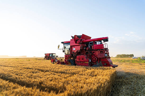istock The combine is harvesting the wheat in the evening 2218507026