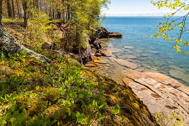 Footbridge on the Chapel Loop Trail in Pictured Rocks National Lakeshore in Michigan, USA during fall colors.
