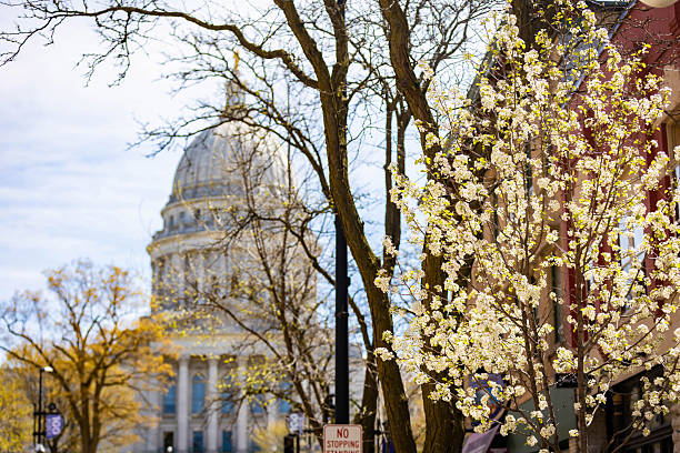 istock Madison Capitol View on a Summer Morning 2218508042