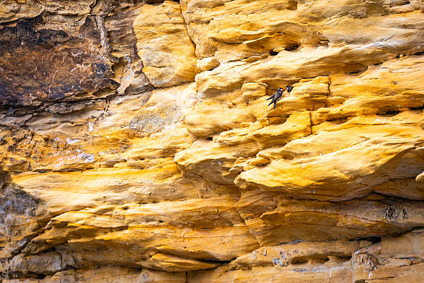 Young woman climbs with rope on cliff face in forest