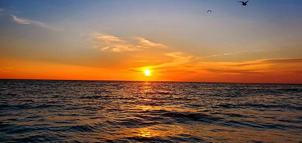 istock 5/25/25 Sunset Indian Rocks Beach 2218513945