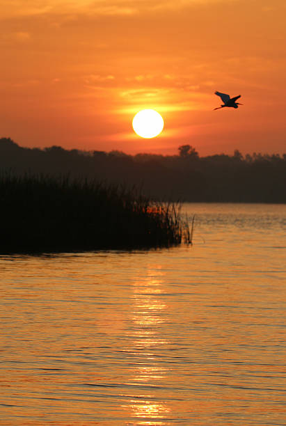 istock Sunrise over the lake 2218516370