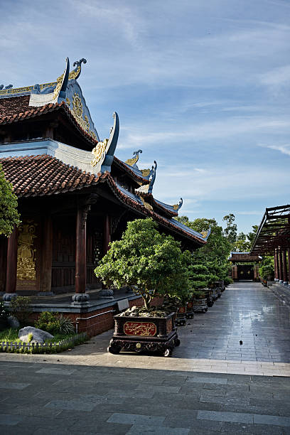 istock Alignment of bonsai in a sacred courtyard 2218516683