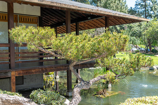 istock Japanese garden in California 2218517155