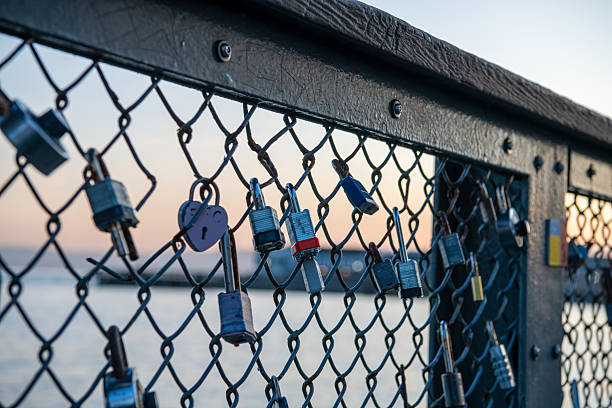 Locks on a fence in California