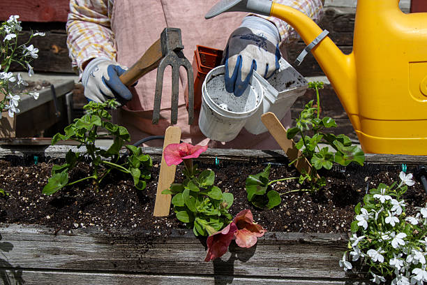 istock Cleaning up planting tools and containers after planting 2218517840