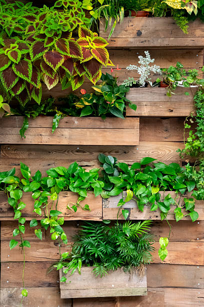 istock Green plants decorate on wood wall 2218520942