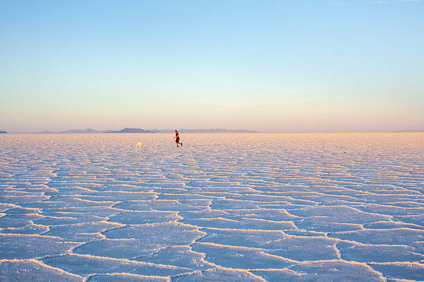 istock Man and dog run on salt lake at sunset 2218521345