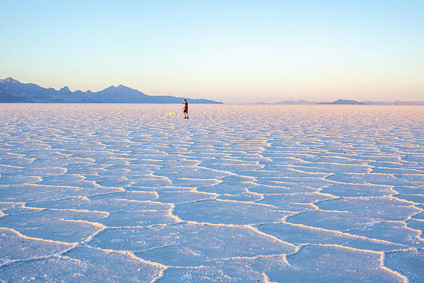 The impressive Salar de Uyuni (Uyuni Salt Falt) in southwest Bolivia. This the world's largest salt flat. It is covered by several meters of salt and lithium crust.