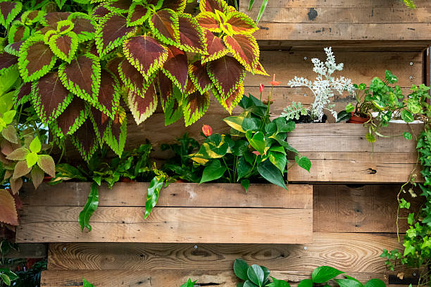 istock Green plants decorate on wood wall 2218521374
