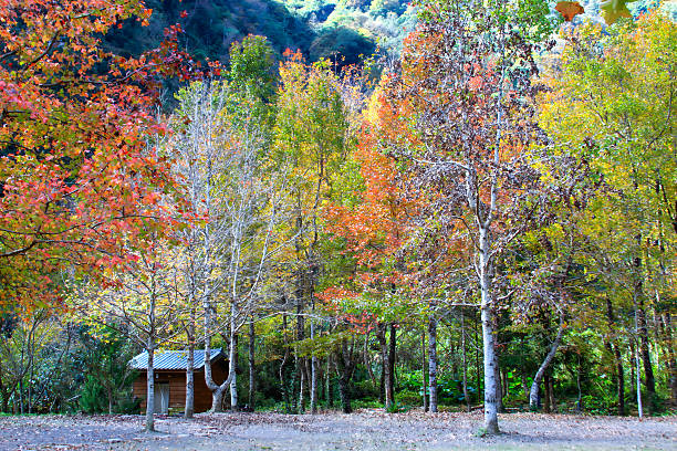 istock Winter Forest Cabin Amidst Colorful Trees. 2218521470