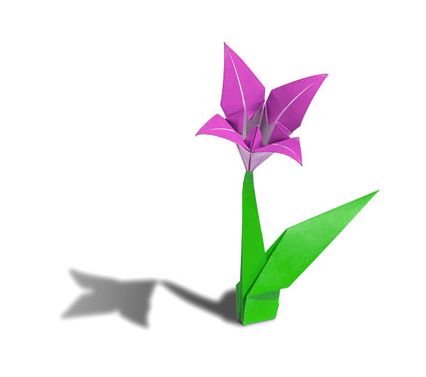 istock origami flower pink lily isolated on white 2218521686
