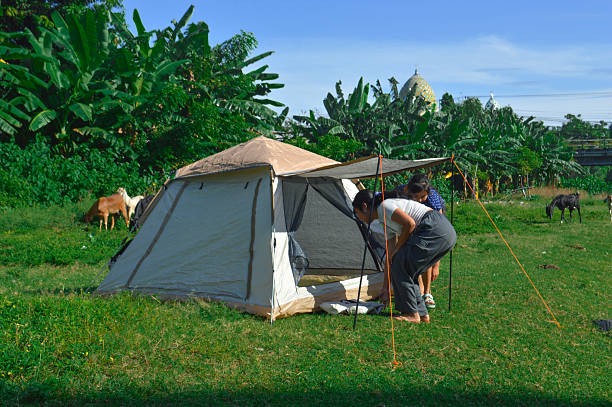 istock Girl bends near canopy as goat wanders by tent 2218523361