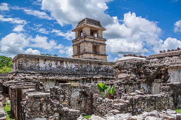 Archeological site of Palenque in Chiapas. Mexico.