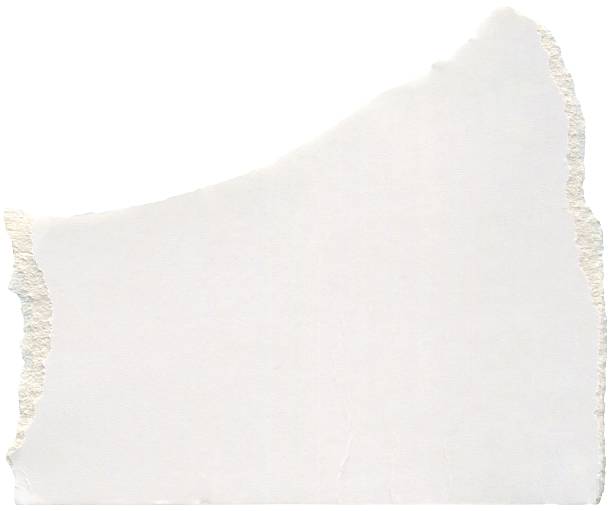 istock Realistic torn paper scrap. White, pale, ivory, cream canvas texture background. Carton texture for collage, DIY projects, scrapbooking 2218544608