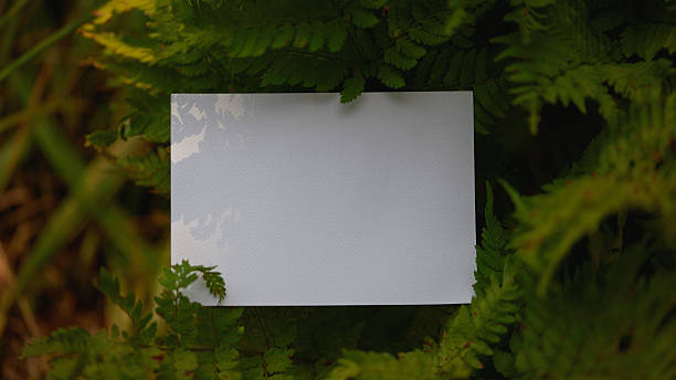 istock Blank card resting on vibrant green ferns in a natural setting 2218544865