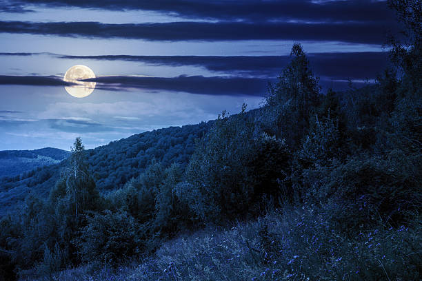 istock landscape with forest on the hill in summer at night 2218546784