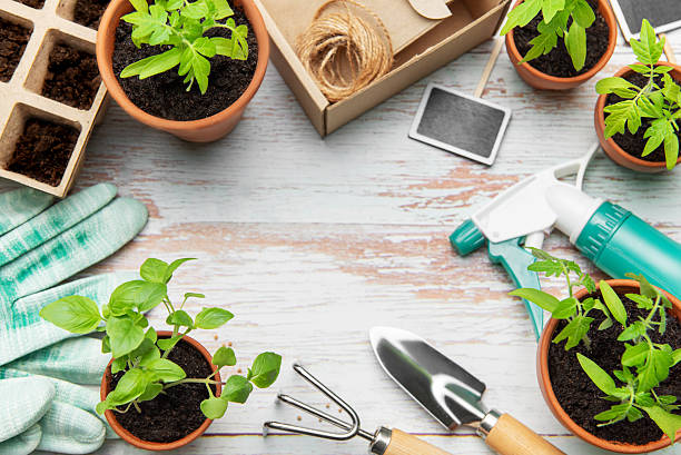 istock Gardening tools, terracotta pots, seedlings and peat pots forming a frame on a wooden surface 2218548663