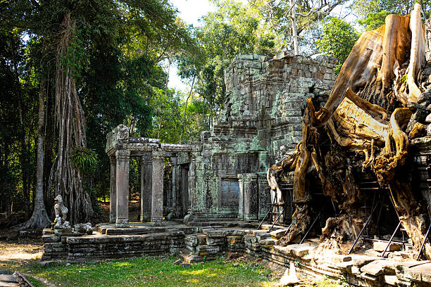 Ta Prohm, Angkor Wat temple complex, Siem Reap, Cambodia. Massive tumbling and fallen stone blocks and interwoven and tangled Spung or Spueng tree roots typify and reflect the part restored religious pagodas and temples that cover an enormous area around the Angkor Wat city and temple complex, in this ancient Buddhist and Hindu kingdom that is a major tourist destination for travel today, Siem Reap, Cambodia
