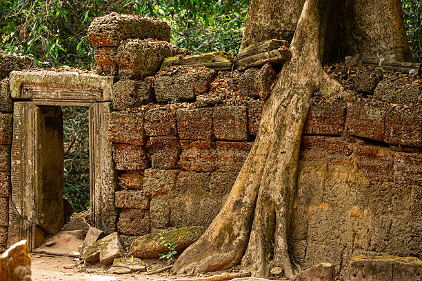 istock Ruins of a Khmer Temple with Giant Tree Roots 2218549432