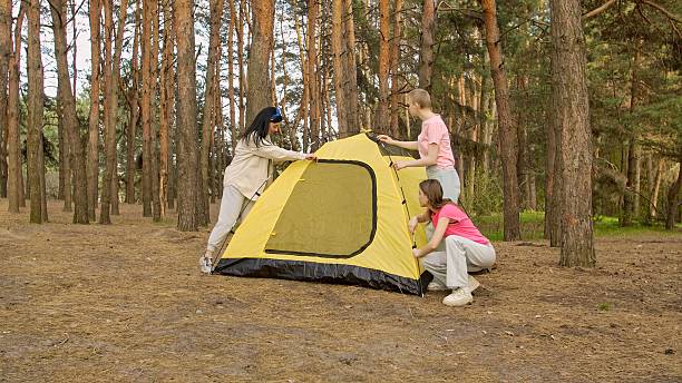 istock Group of Friends Setting Up a Tent in the Forest 2218551311