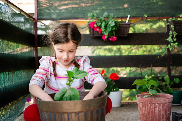 istock Child planting cucumber plant on a balcony 2218564330