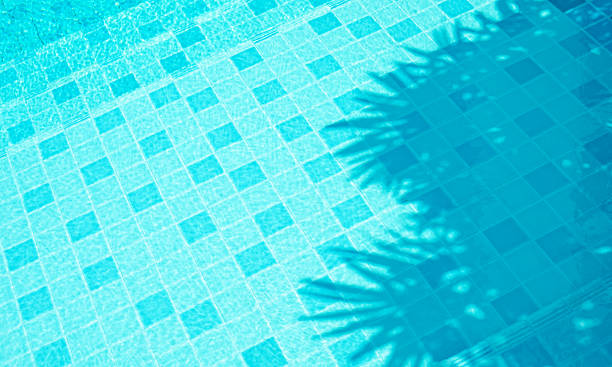 istock Swimming pool and tropical shadow leaf.holiday and summer decoration design 2218565872