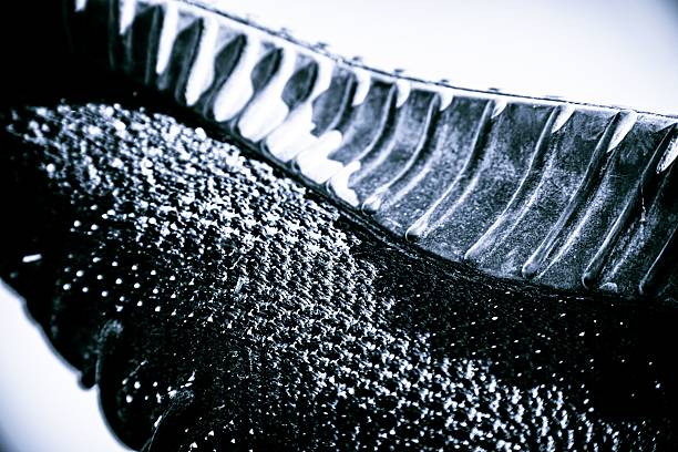 istock Textured Fish Fin in Monochrome 2218566071
