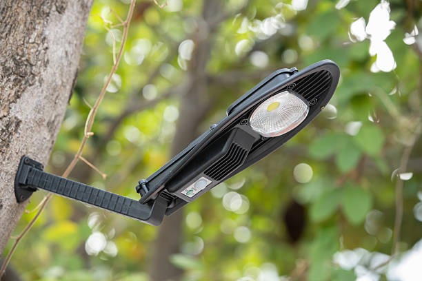 istock LED street lamp in public space solar power source lighting user tree trunk as light pole 2218566134