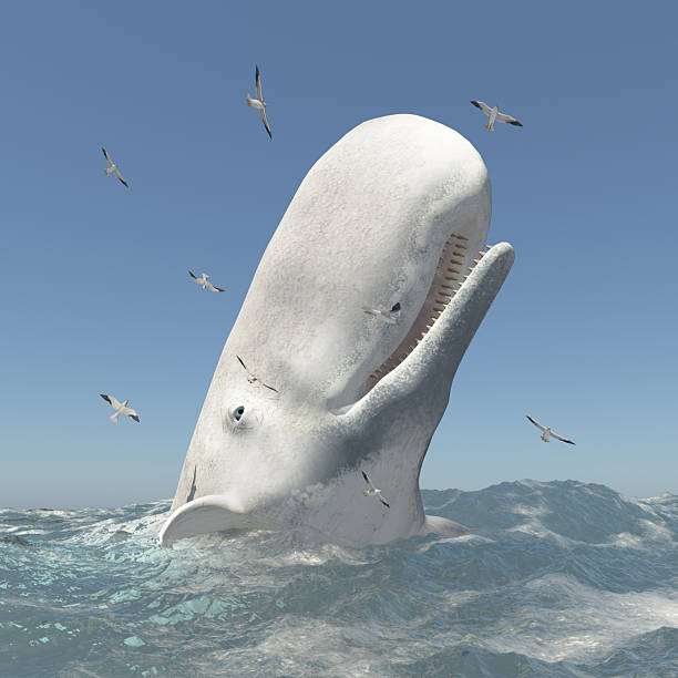 istock Historic white sperm whale Mocha Dick and seagulls 2218567613