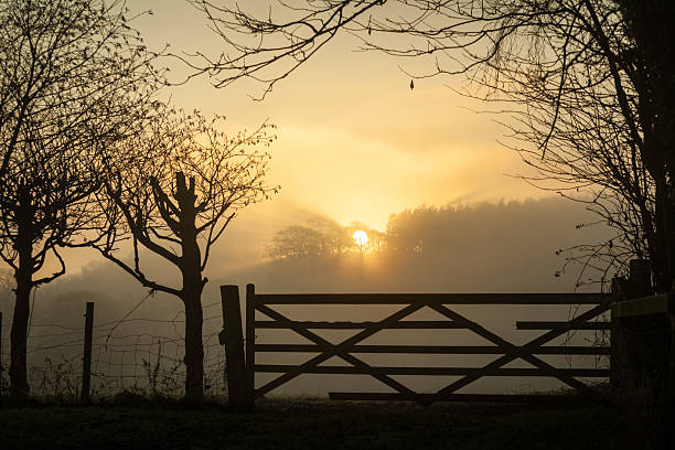 istock Sunrise on a winters morning 2218568108