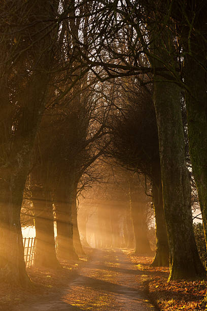istock Sunrise on a winters morning 2218568141