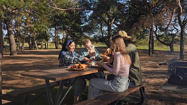 istock Friends Enjoying a Relaxing Picnic in a Sunny Park Setting 2218568413