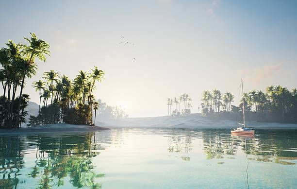 istock A Serene Tropical Landscape featuring Clear Waters and Lush Vegetation all around it 2218573030