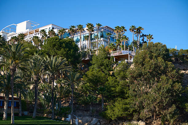 istock Luxurious Hillside Resort With Palm Trees and Scenic Views 2218578292