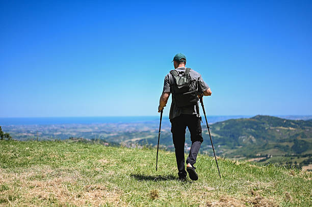Back view of a Japanese woman hiking with a red backpack and trekking poles on a sunny day in a lush green forest.