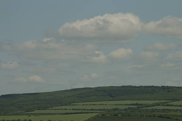 Landscapes - Forest - Europe, Romania, Suceava region