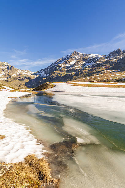 disgelo alpino nella valle vicino a Bormio