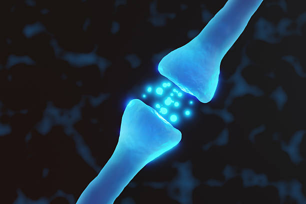 Glowing blue chemical messengers are transferring from one neuron to another on a black background. Illustration of the concept of neurotransmitters and communication between nerve cells