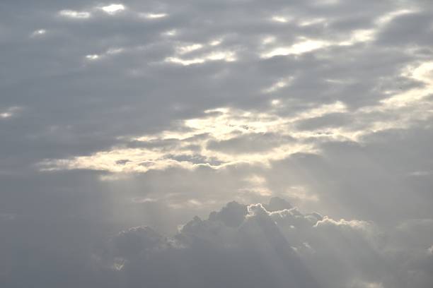 Rays of light