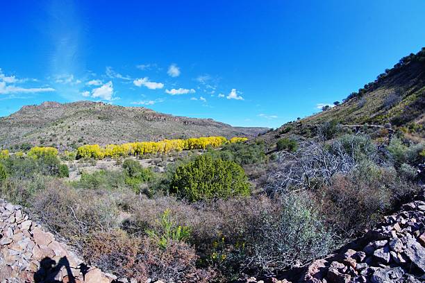 istock The CCC Trail at Davis Mountains State Park Texas 2218595055