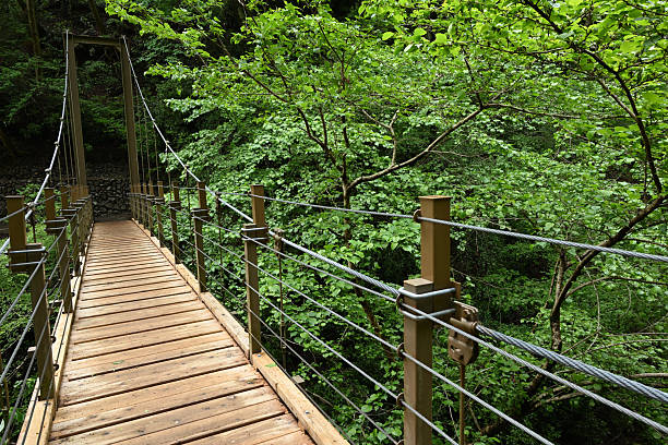 istock Climbing Mt. Takao, Tokyo, Japan 2218595291