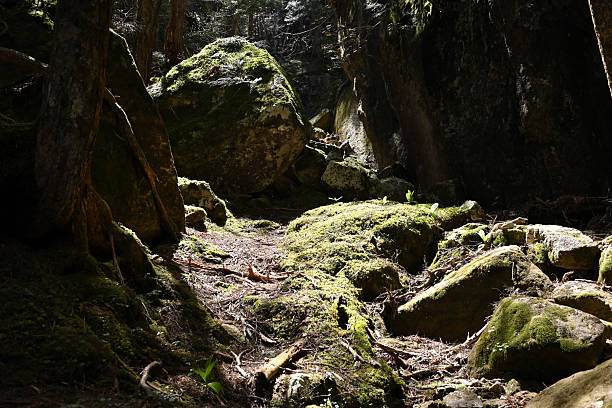 istock Climbing Mt. Mizugaki , Yamanashi, Japan 2218601608