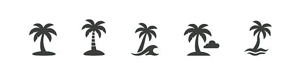 ilustrații de stoc cu pictograme palmier în stil tropical negru. simboluri vectoriale de plajă de vară pentru teme exotice - insulă