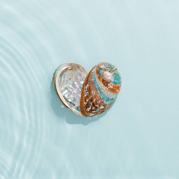 istock Colored abalone shells with pearlescent colors at seawater waves summer background at sunlight, gentle ripples and peaceful, oceanic scene. Seashells heart shaped, concept life, relaxation, travel 2218603977